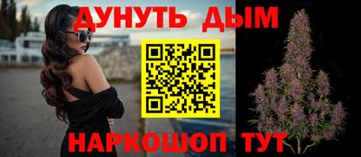 индика Аргун