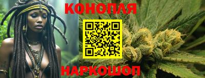 индика Аргун