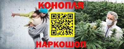 Альфа ПВП Шахты