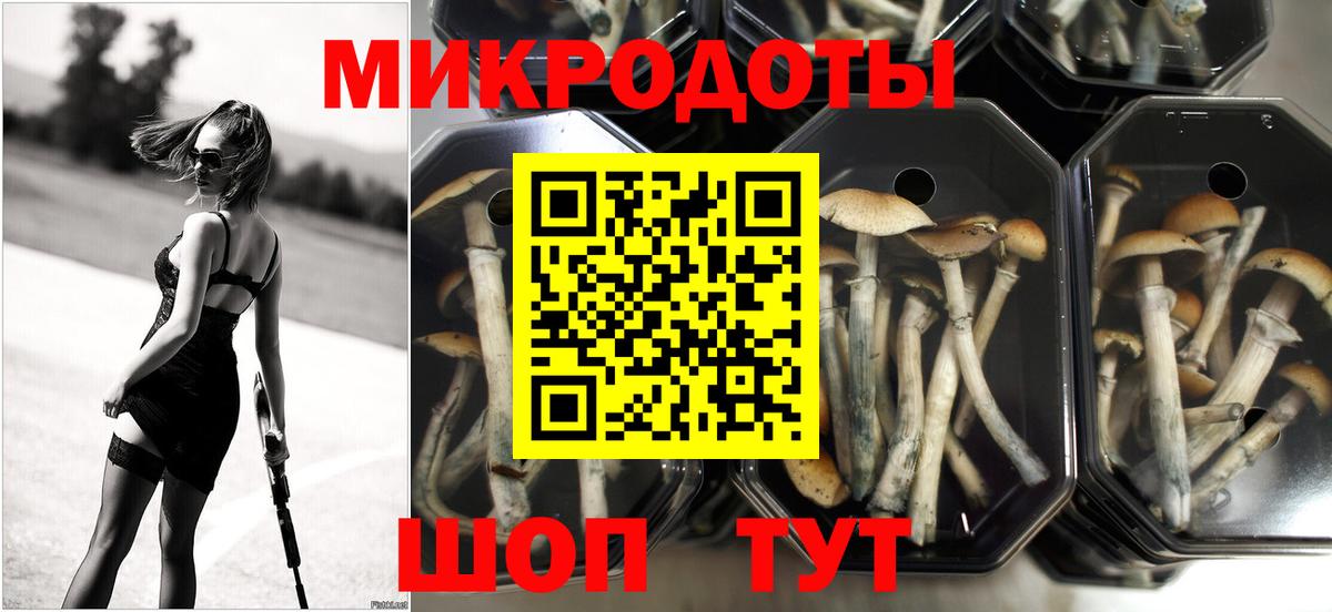 Галлюциногенные грибы мухоморы  Вход с VPN  Барнаул  Псилоцибиновые грибы ЛСД 